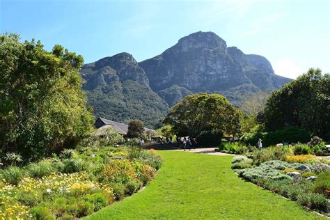 Kirstenbosch National Botanical Garden - Ett frodigt paradis för växälskare och utflyktslystna!