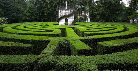 Queen’s Park Maze: En Vacker Trädgårdsl labyrint För Familjen Och De Äventyrslystna!